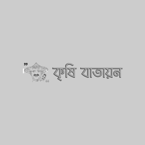 শসার ফলছিদ্রকারি পোকা