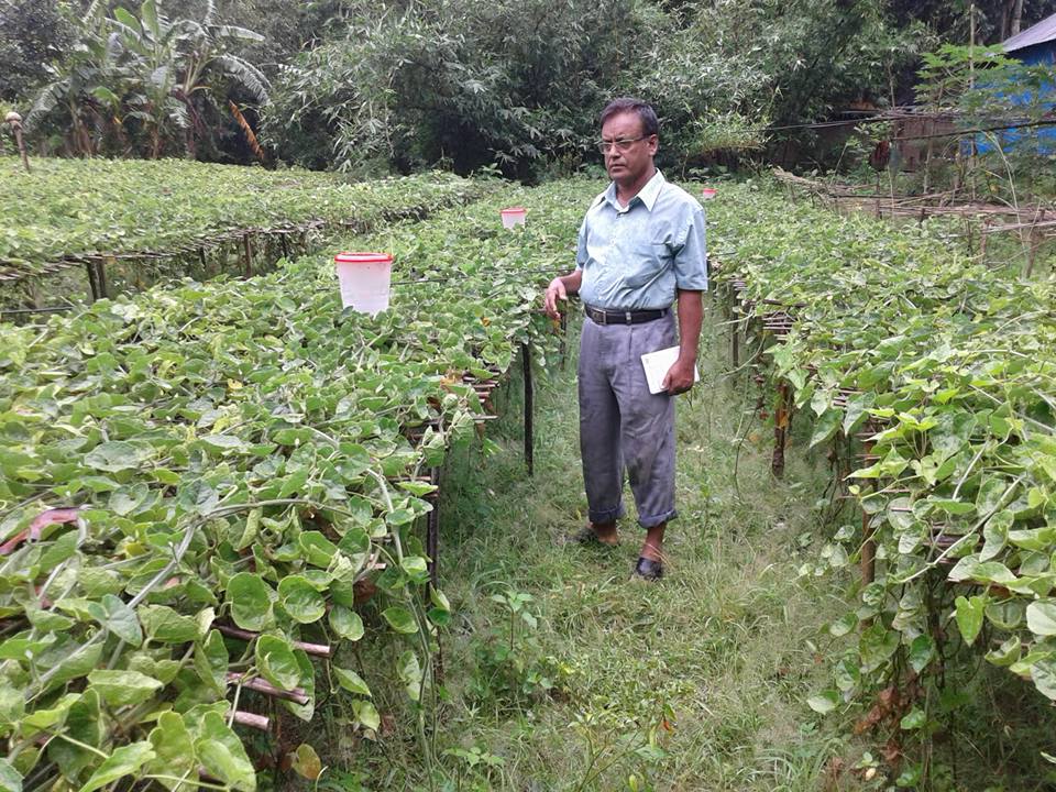 নিরাপদ সবজি (এনএটিপি-২)